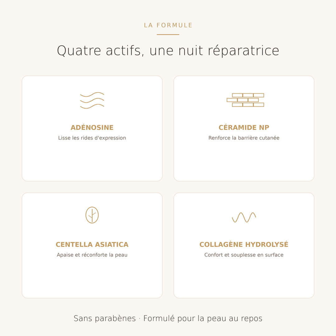 Lomayta — Masque Nuit Régénérant